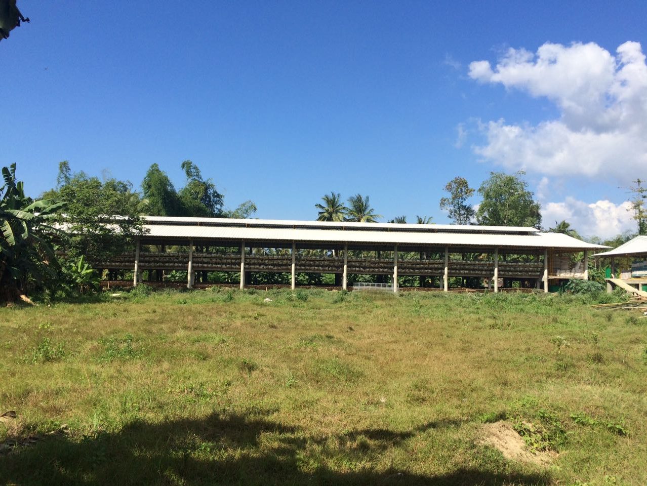Commercial poultry cage and automation equipment detail