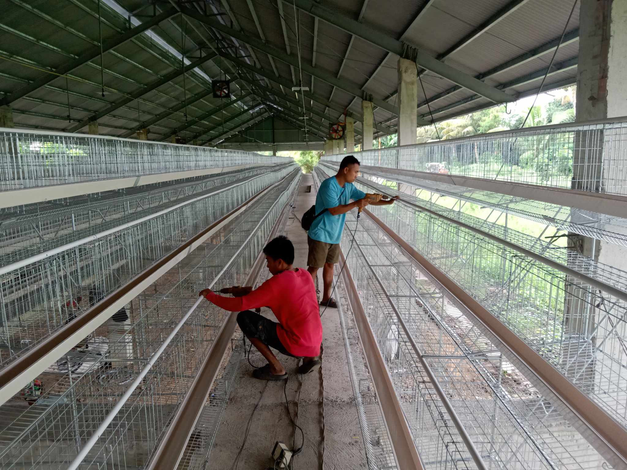 Poultry farm equipment prepared for a coordinated scope